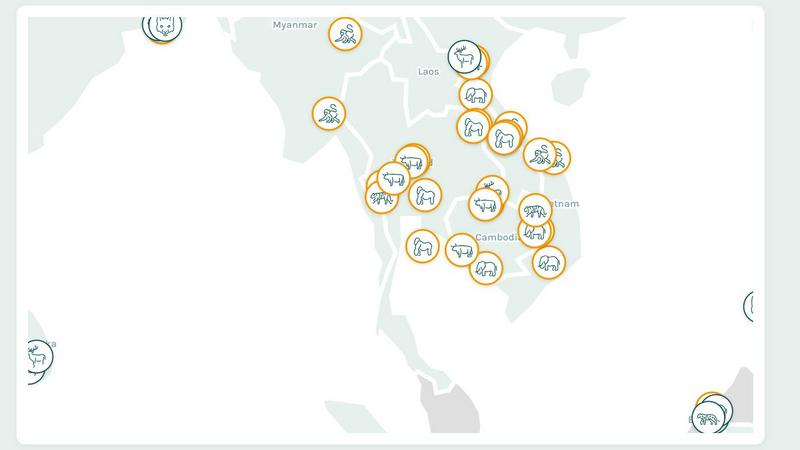 Animals Around the World application interface and features