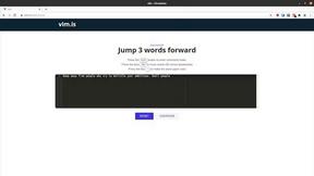 Vim.is - product for Dev Tools